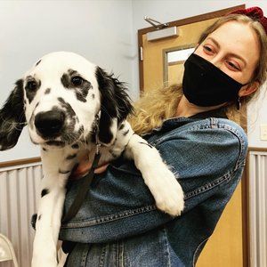 Meet your Posher, Rachel